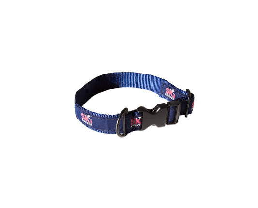 Ski Nantucket Dog Collar